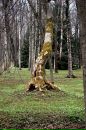 Ирина Бабенко фотография #35 (источник - https://vk.com/id2244513)