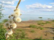 Фотография Липатовой Ирины