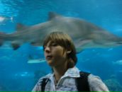 Фотография Фёдорова Филиппа