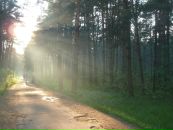 Фотография Гавриловой Юлии