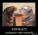 Віка Сапчак фотография #21 (источник - https://vk.com/id171968285)