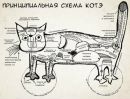 Павел Полунин фотография #5 (источник - https://vk.com/id41187290)