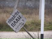 Фотография Филиппова Максима