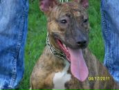 Фотография Василенко Ирины