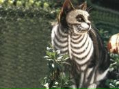 Марія Базюк фотография #34 (источник - https://vk.com/id152202469)