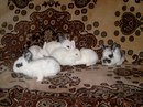 Наташа Хлівчук фотография #4 (источник - https://vk.com/id155639914)