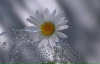 Фотография Филипповой Светланы