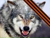 Фотография Зуева Дениса