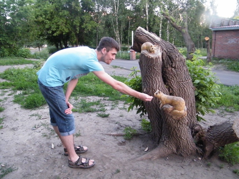 Дмитрий Бычков фотография #39