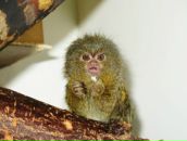 Фотография Сидорова Николая