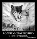 Коля Лебідь фотография #30 (источник - https://vk.com/id163064058)