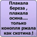 Наталія Самойлова фотография #15 (источник - https://vk.com/id166923601)