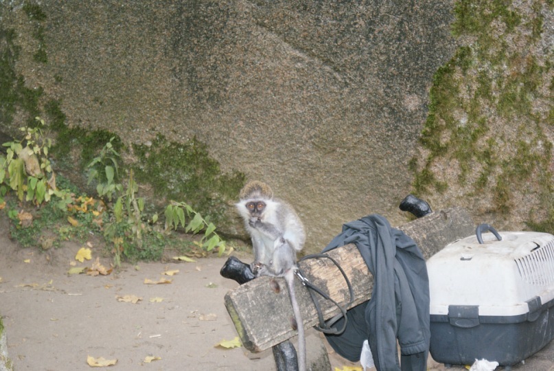 Софья Романенко фотография #42