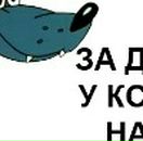 Соломія Грацонь фотография #7 (источник - https://vk.com/id34419761)