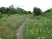 Ростислав Ткаченко фотография #35 (источник - https://vk.com/id6039788)