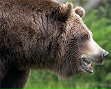 Іван Федишин фотография #15 (источник - https://vk.com/id65148361)