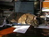 Фотография Лукьяновой Ирины