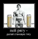 Александр Самохотин фотография #29 (источник - https://vk.com/id3554010)