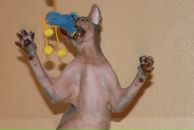 Фотография Казаченко Дины