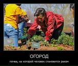 Igorko Sema фотография #44 (источник - https://vk.com/id20006038)