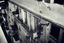 Фотография Героль Оли