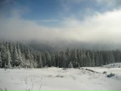 Андрій Когут фотография #17 (источник - https://vk.com/id8994004)