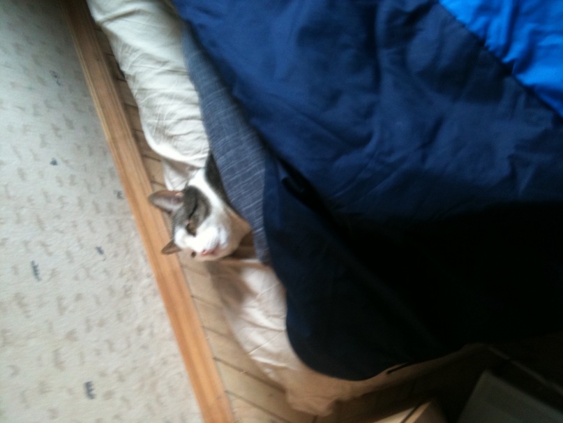 Вера Архангельская фотография #39