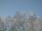 Девид Паркер фотография #50 (источник - https://vk.com/id4767619)