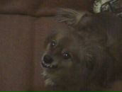 Сергій Петров фотография #38 (источник - https://vk.com/id92831660)