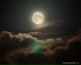 Фотография Кривонос Ирины