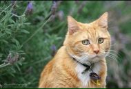 Віктор Якубовський фотография #7 (источник - https://vk.com/id8578390)