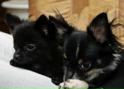 Фотография Зверевой Татьяны