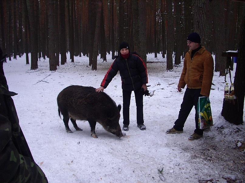 Виктор Шубан фотография #15
