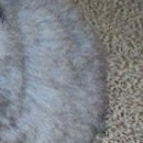 Валік Бойко фотография #47 (источник - https://vk.com/id138215938)