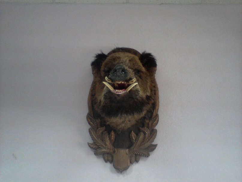 Виктор Крутиков фотография #33