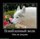 Фотография Зурабова Михаила