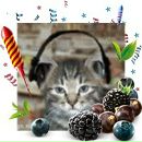 Alex Fox фотография #38 (источник - https://vk.com/id40662)