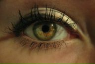 Фотография Илленко Александр