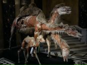 Александр Яковлев фотография #39 (источник - https://vk.com/id3848103)