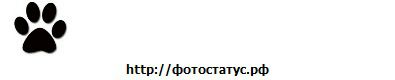 Светік Куриця фотография #8 (источник - https://vk.com/id72959407)