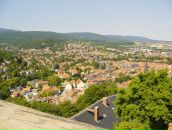 Фотография Тимакова Владислава