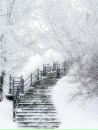 Настя Недільська фотография #29 (источник - https://vk.com/id100826411)