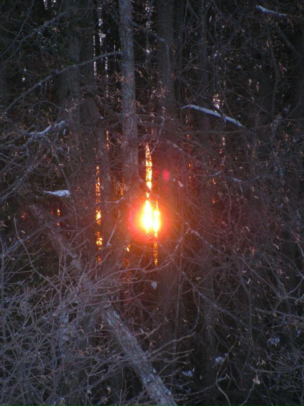 Иван Сероштан фотография #22