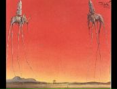 Фотография Филипченко Ани