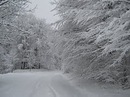 Cело Дебеславці фотография #27 (источник - https://vk.com/id153765797)