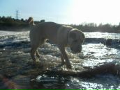 Ростік Худик фотография #35 (источник - https://vk.com/id87017695)