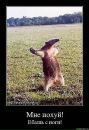 Фотография Конецфамилии Ильи