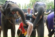 Фотография Novitskaya Anna