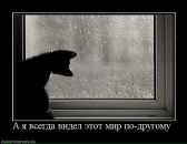 Иван Друковский фотография #24 (источник - https://vk.com/id545338)