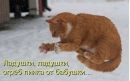 Фотография Жукова Олега